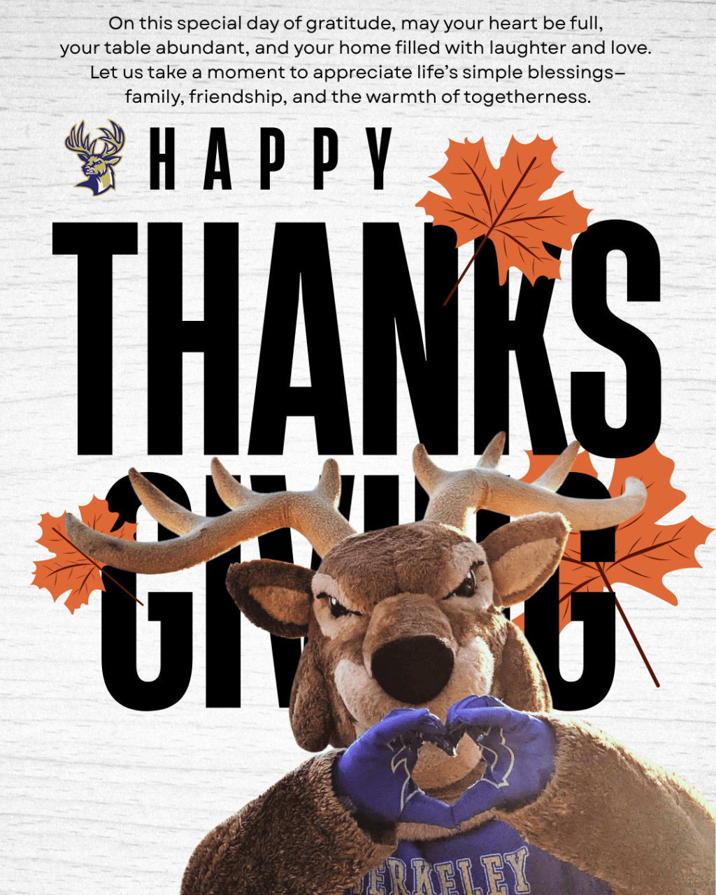 Celebrating Gratitude with Stag&nbsp;Nation